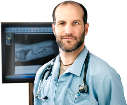Veterinarian Radiology and Ultrasound